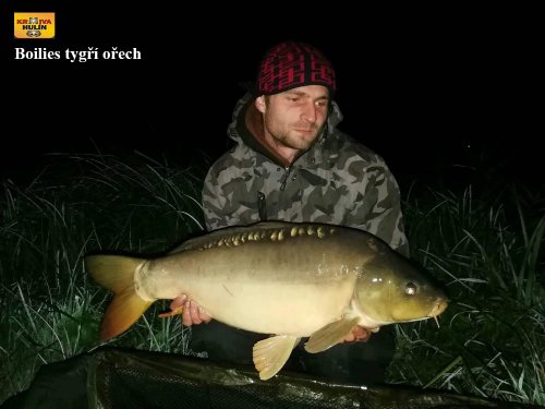 Boilies tygří ořech