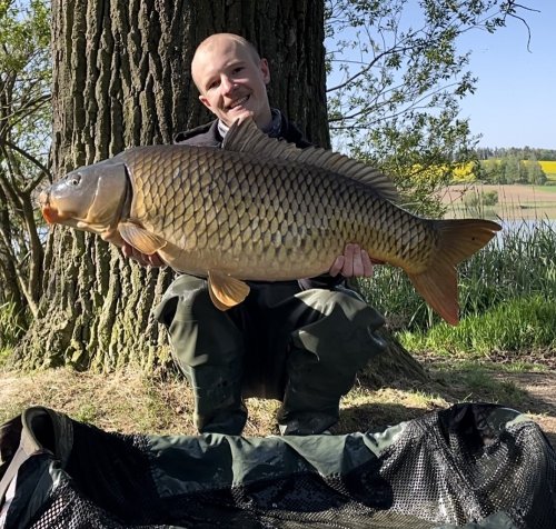Boilies Pikantní krill, pop up Bílý pepř