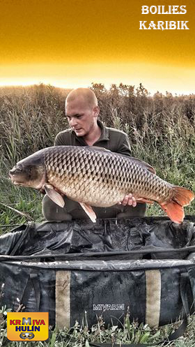 Boilies karibik