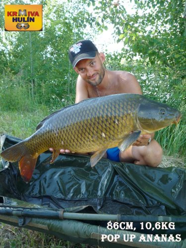 86cm, 10,6kg, zig rig - pop up ananas
