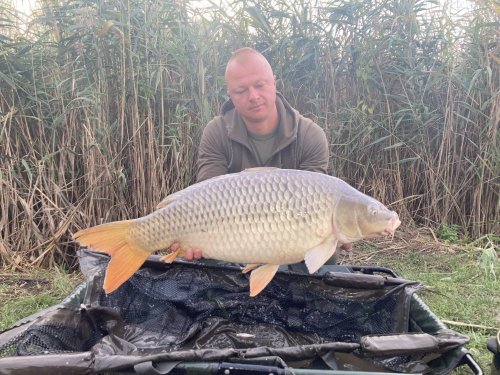 Boilies Bioactiv paste - Monster crab s Krillem a olihňí