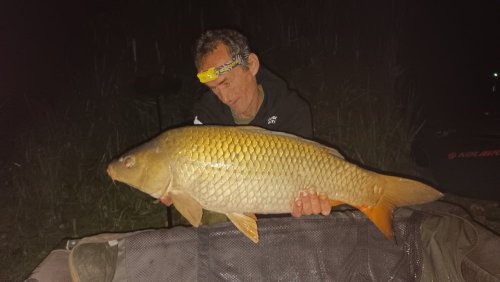 Boilies Pomeranč a chilli