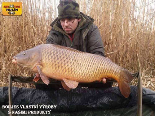 Boilies vlastní výroby s našimi surovinami
