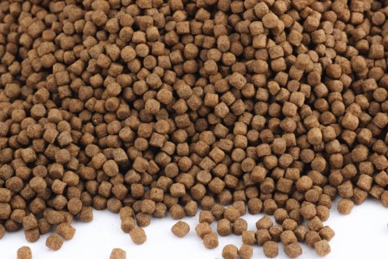 Plovoucí krmivo KOI - Wheat germ - Ø 6 mm - Vyberte balení: 1 kg