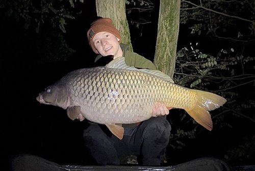 Boilies Pikantní krill