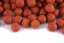 Boilies - PIKANTNÍ KRILL - Ø 12 mm - Speciální edice - Vyberte balení: 1 kg