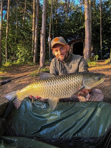 Boilies Pikantní perník