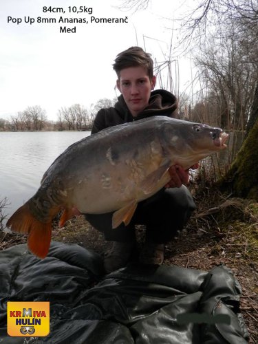 84cm, 10,5kg, pop up Ananas, Pomeranč/Med 8mm, svazová voda