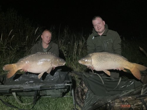 2 x 20+, boilies Krill a oliheň neutrálně vyvážené