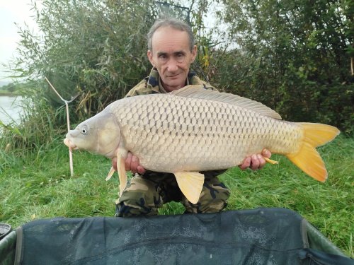 Boilies Mefisto