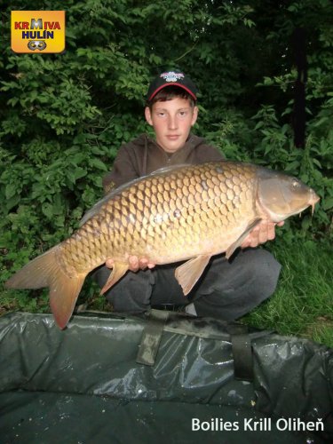 11kg, boilies Krill/Oliheň, svazová voda