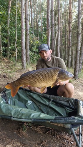 Boilies Pikantní perník