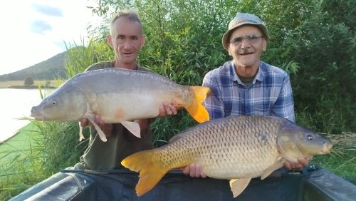Boilies Švestka s česnekem