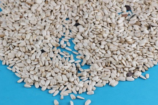 SLUNEČNICE BÍLÁ - pro ptactvo - Vyberte balení: 1 kg