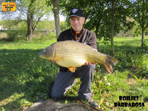Boilies barbarosa