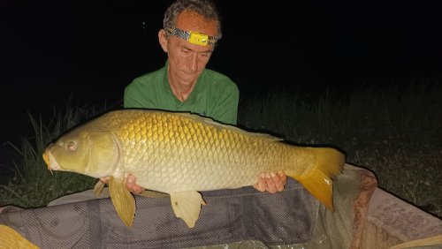Boilies Frankfurtská klobása