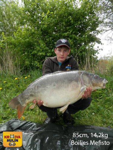85cm, 14,2kg, boilies Mefisto, svazová voda