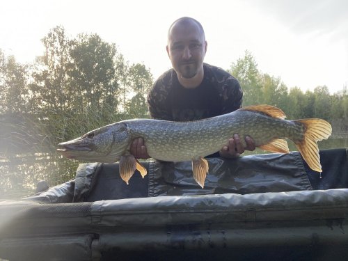 Boilies Pikantní krill