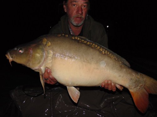 Boilies White scopex