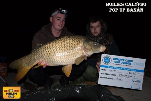 Boilies Calypso, pop up Banán/Meruňka
