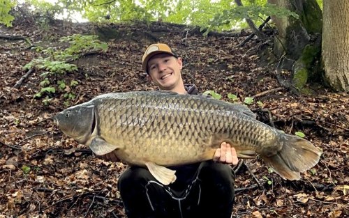 15kg, boilies Pikantní krill