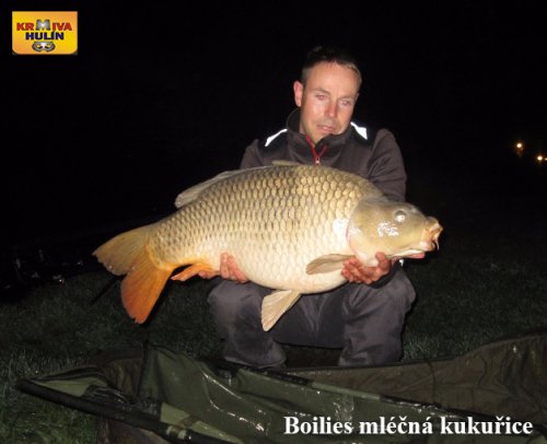 Boilies mléčná kukuřice