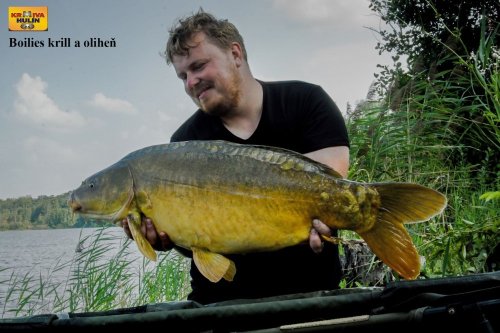 Boilies krill/oliheň