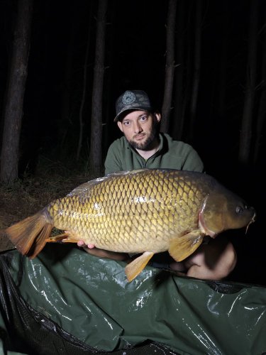 13kg, Boilies Pikantní perník