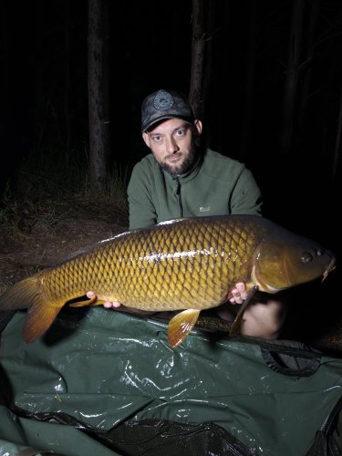 Boilies Pikantní perník