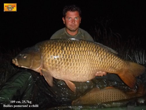 109cm, 25,7kg, boilies pomeranč/chilli vlastní výroby