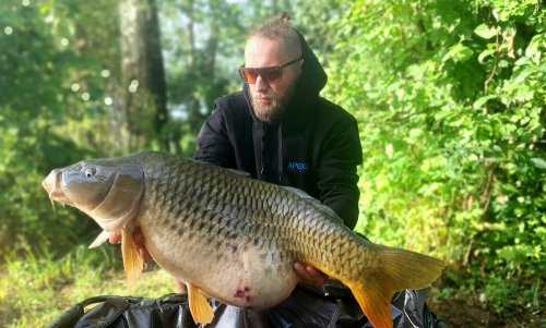 Boilies Duplex - Monster crab / Krill