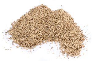 OVES NAHÝ - pro ptactvo (OVNA-1) | Krmiva Hulín OVES NAHÝ - pro ptactvo (OVNA-1) | Krmiva Hulín