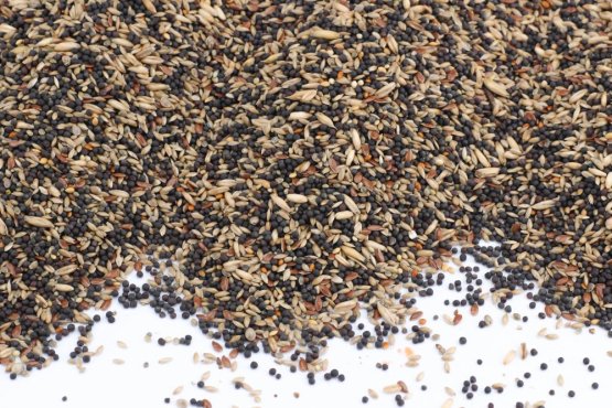 Krmivo Avest - PRO KANÁRY 13 - Vyberte balení: 500 g