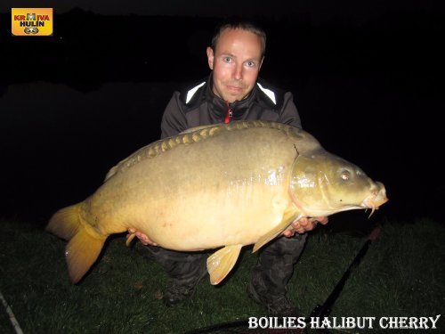 Boilies halibut/cherry
