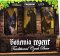 PIVO REGENT - DÁRKOVÁ SADA KH - LEMON FREE - 6x 0,5 l (BOHEMIA REGENT, DELF) | Krmiva Hulín