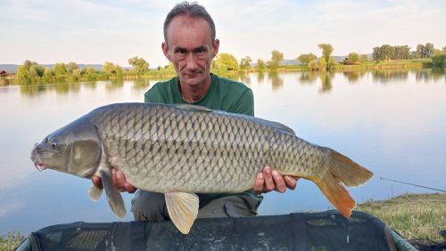 Boilies Pikantní krill
