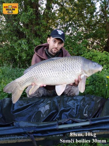 89cm, 10kg, sumčí boilies 30mm, svazová voda