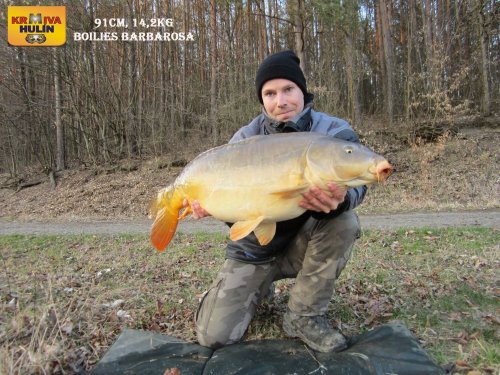 91cm, 14,2kg, boilies Barbarosa
