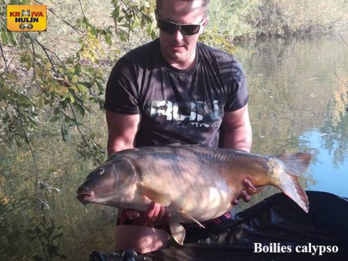 Boilies calypso