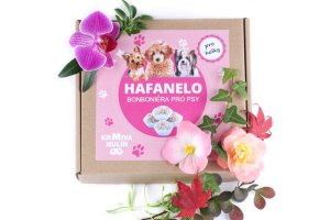 BONBONIÉRA PRO PSÍ HOLKY - HAFANELO - Obalované Dortíčky 16 ks - 500 g (Krmiva Hulín, BHH-1) | Krmiva Hulín