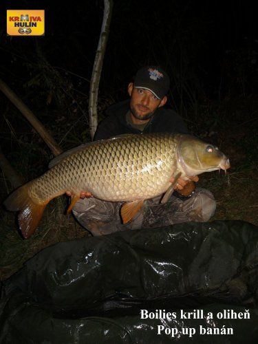 11,8kg, boilies krill/oliheň, pop up banán/meruňka, svazová pískovna