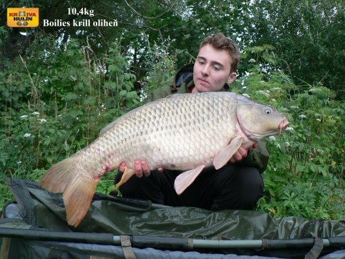 10,4kg, boilies krill/oliheň, svazová voda