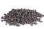 TYGŘÍ OŘECH - BLACK XXL - 15 - 35 mm (Tigernuts traders, TOBXXL-1) | Krmiva Hulín