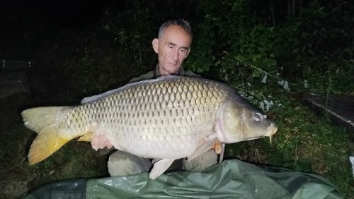 Boilies Pikantní perník