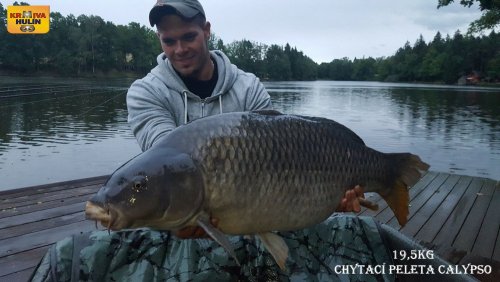 Peleta boilies calypso v obalovacím těstě calypso
