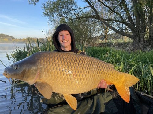 Boilies Tygří ořech