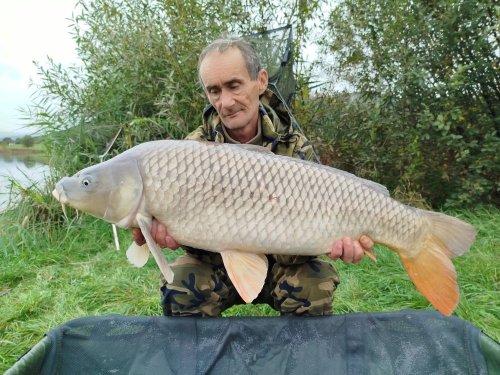 Boilies Mefisto