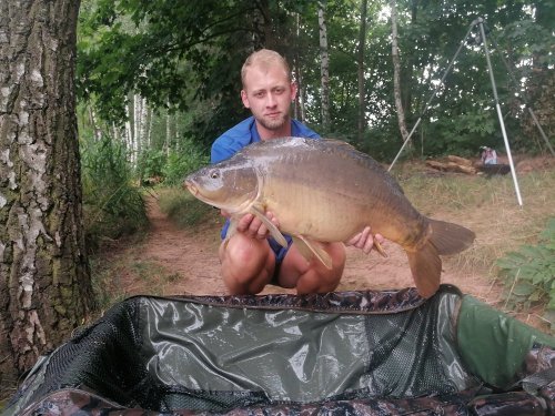 Boilies Krill/Oliheň
