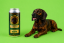 Pivo Regent - BAVORSKÝ BARVÁŘ - Sběratelská edice Psí říše - 0,5 l (BOHEMIA REGENT, PRBB) | Krmiva Hulín