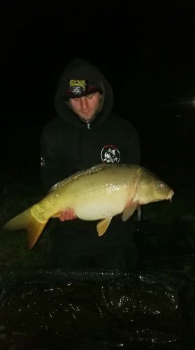 12kg, boilies krill a oliheň, pop up ananas